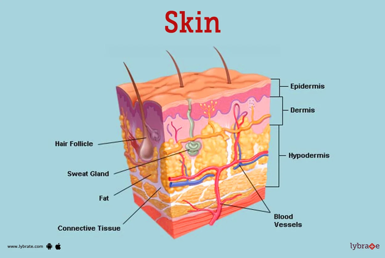 Tranh siêu thực người đàn ông đầu lá xanh đứng trước cửa gỗ trên phố đá cổ