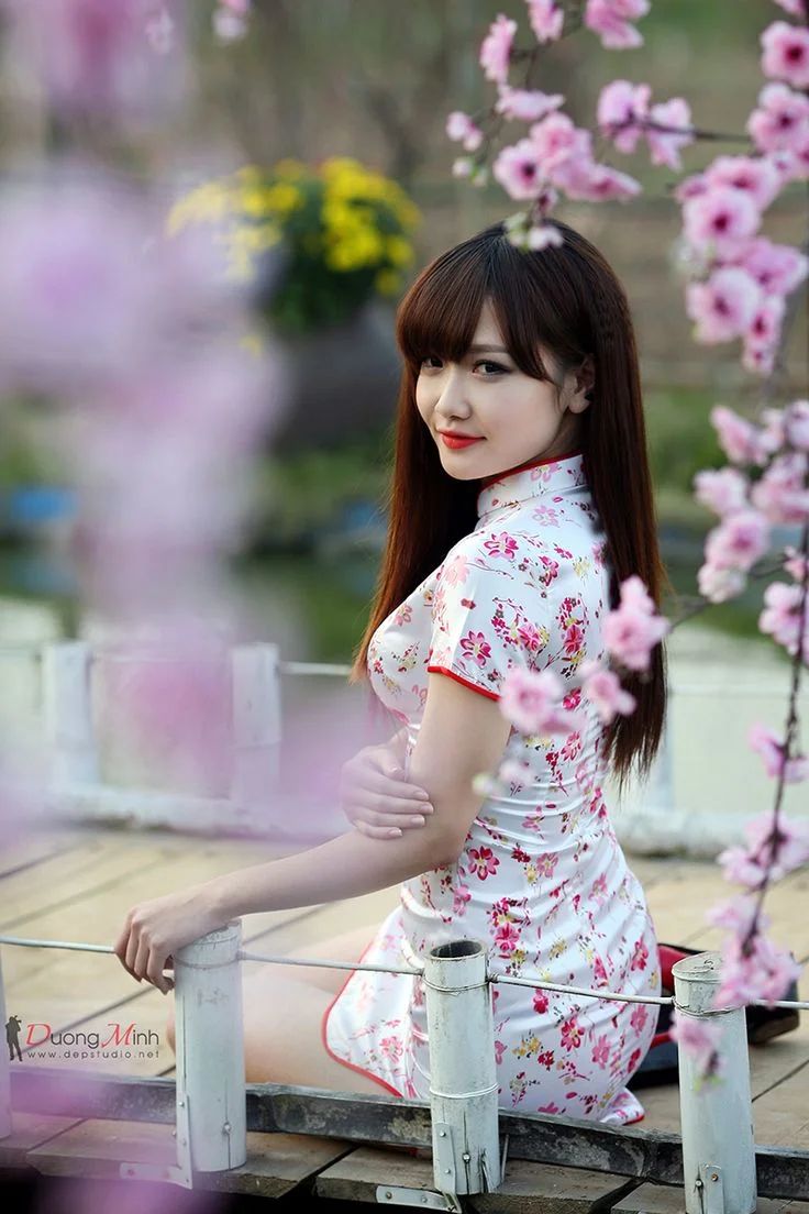 Gái xinh Việt Nam mặc sườn xám chụp ảnh hoa đào