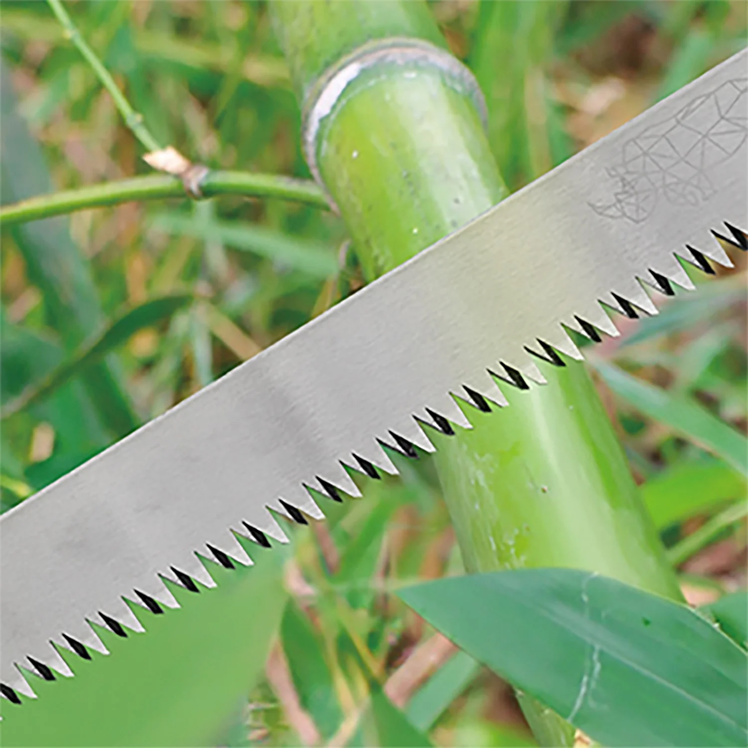ảnh que thử thai 2 vạch, hình 18