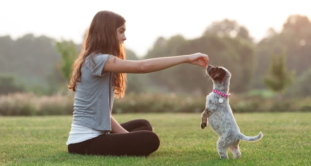 Ảnh đại diện cô gái chơi đùa với chú chó nhỏ ngoài trời