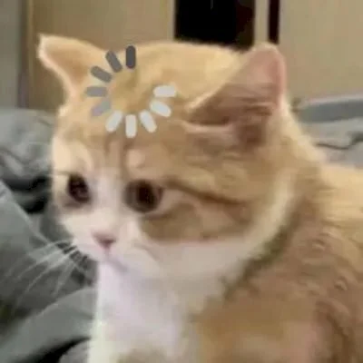 Tổng hợp 100+ meme mèo hài hước, cute, vui nhộn nhất 2024 (2)