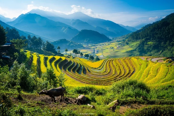 Nét đẹp vùng cao Hạnh Phúc qua góc máy của nhiếp ảnh gia Vũ Ngọc Thiện