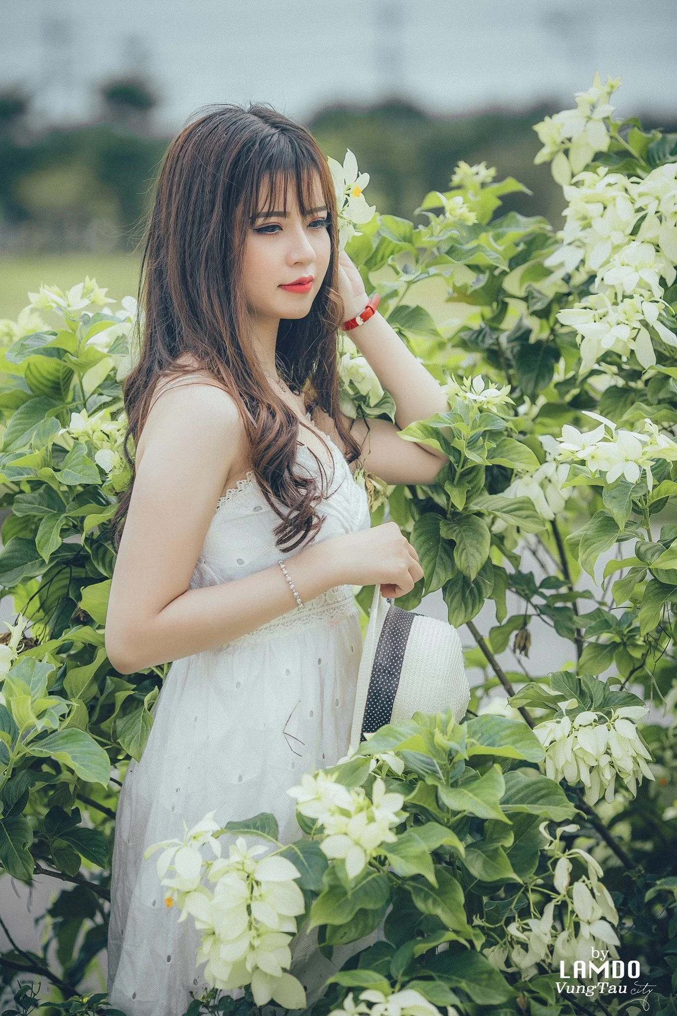 Bộ số 174 – Những bộ ảnh đẹp về đất nước và con người Việt Nam - Kho Đồ Họa