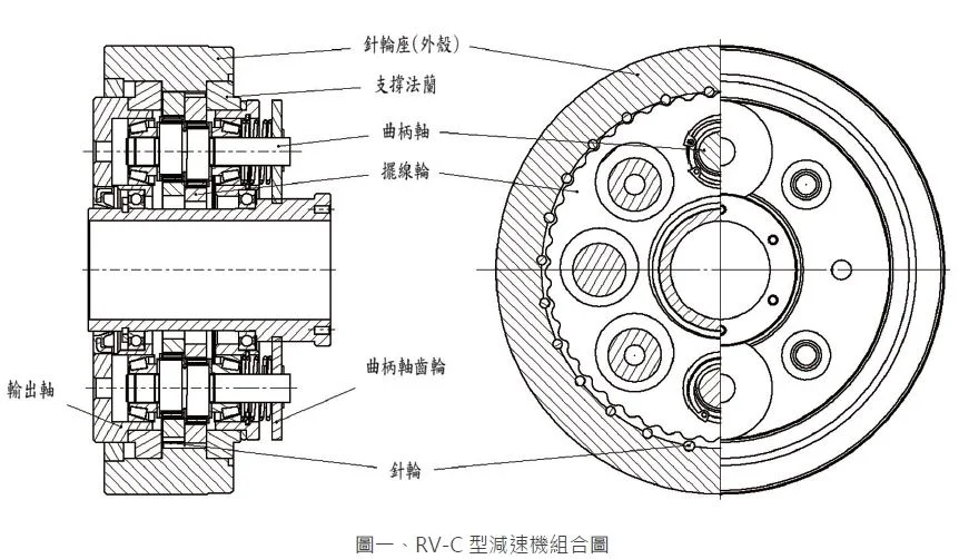 Hình nền hoa linh lan trắng bên lá xanh