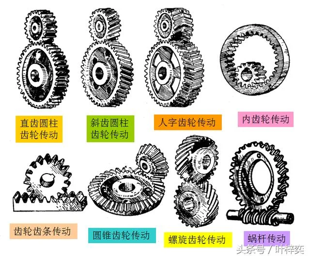 Hình nền hoa linh lan trắng đẹp với những bông hoa nhỏ xinh và lá xanh tươi