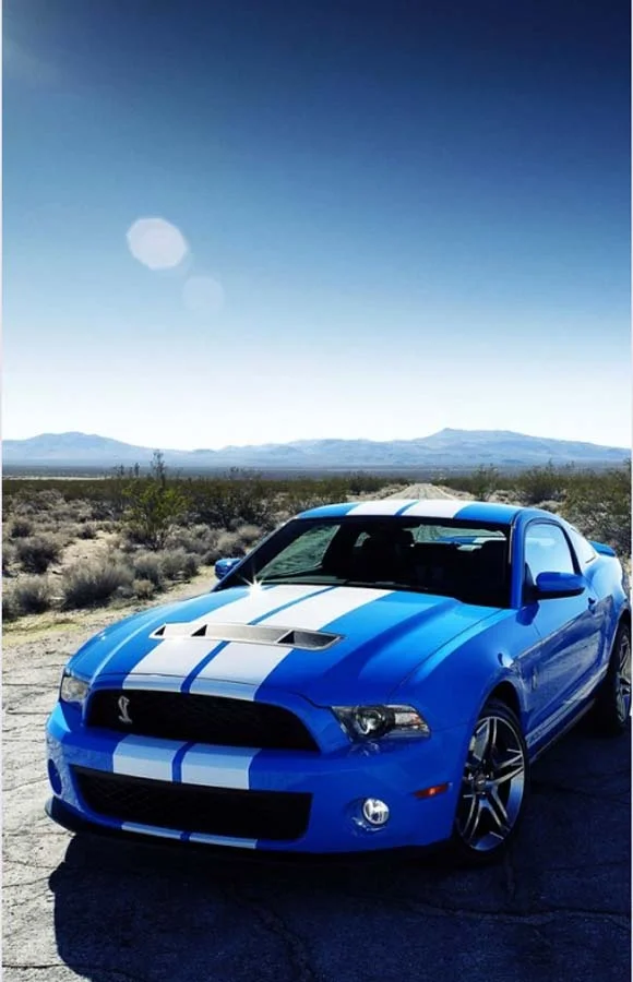 Hình đại diện Facebook xe Ford Mustang Shelby màu xanh sọc trắng giữa sa mạc và núi