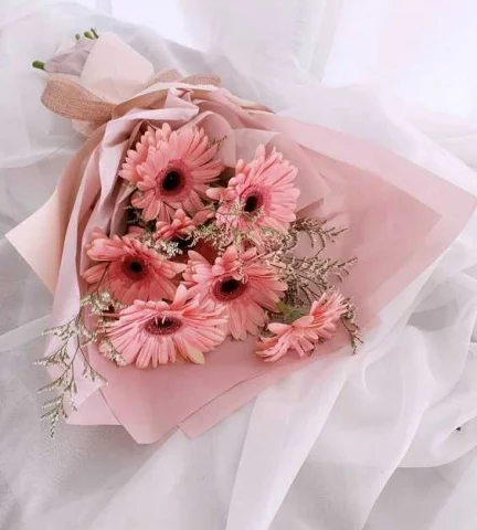 Ý nghĩa đặc biệt của những bó hoa đồng tiền