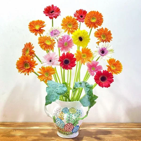 Đặc điểm của hoa đồng tiền