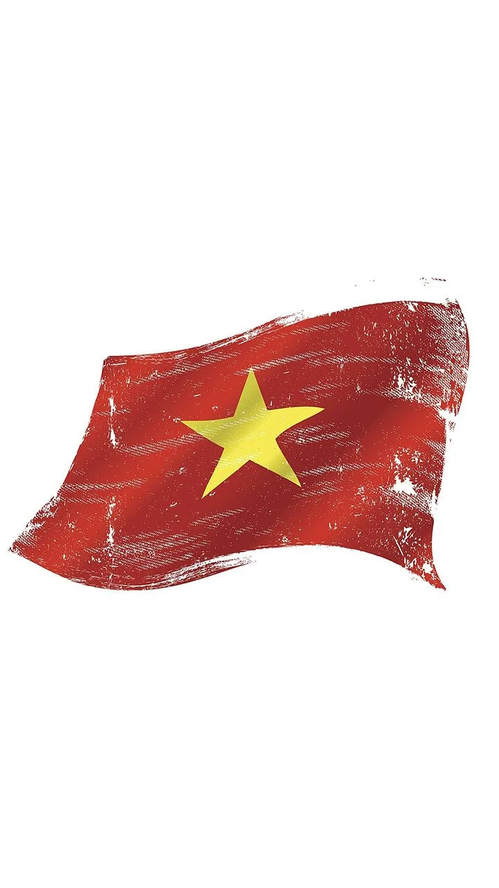 Hình nền lá cờ Việt Nam đẹp cho điện thoại - Ảnh đẹp Free | Ảnh quốc kỳ việt nam, Hình cờ việt nam, Nền tổ quốc