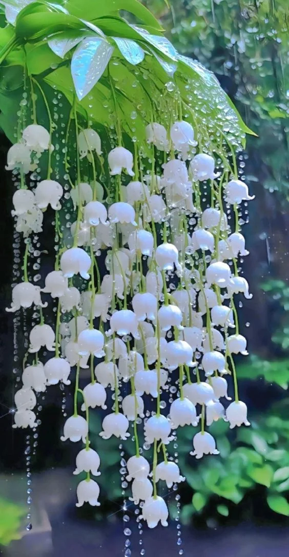 Khám Phá Ý Nghĩa Đặc Biệt của Hoa Linh Lan Bằng Tạo Hình Bóng Bay Nghệ Thuật