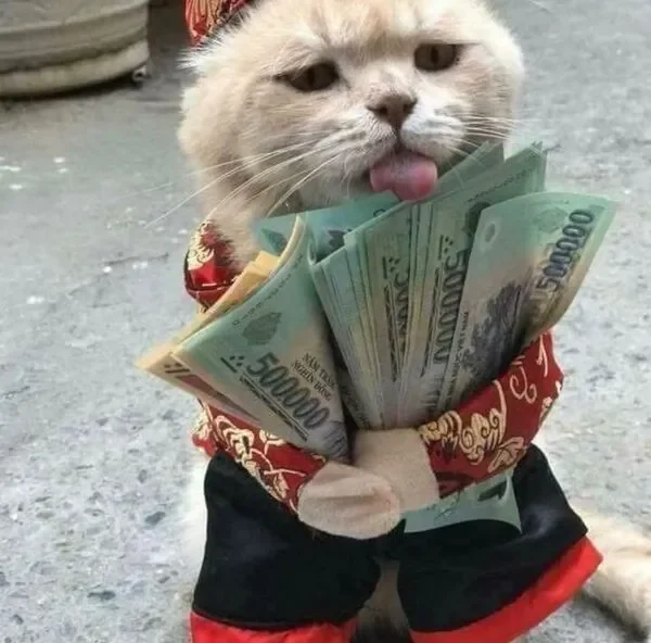 meme cute ôm tiền