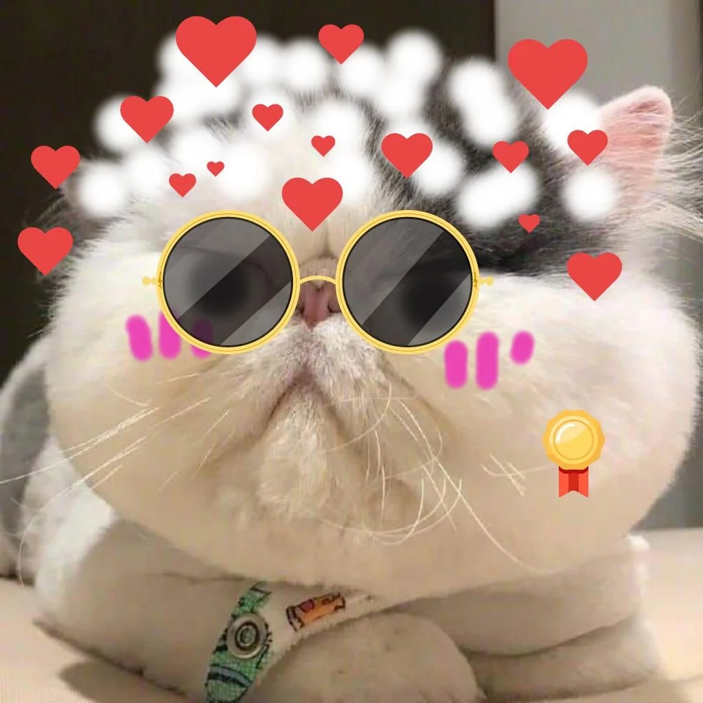 Mèo trắng cute đeo kính râm và biểu tượng trái tim