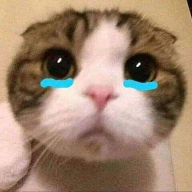 Mèo con cute với hiệu ứng nước mắt